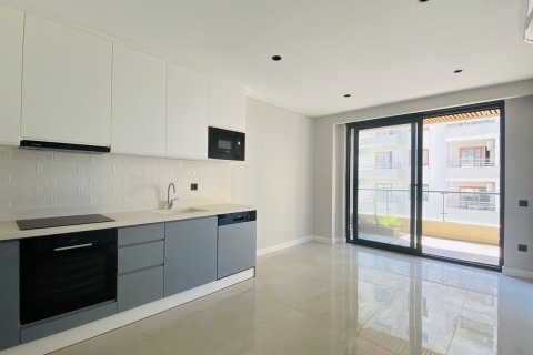 1+1 Leilighet i Alanya, Antalya, Tyrkia Nr. 216266 - 12