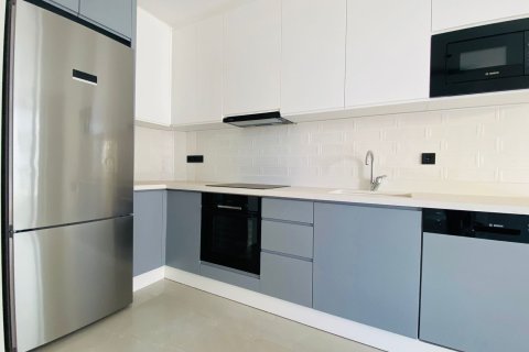 1+1 Leilighet i Alanya, Antalya, Tyrkia Nr. 216266 - 25