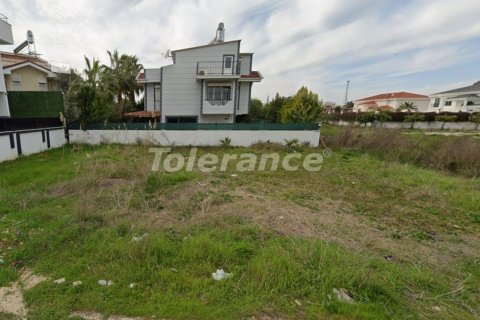 Tom i Belek, Antalya, Tyrkiet Nr. 221224 - 3