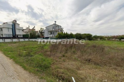 Tom i Belek, Antalya, Tyrkiet Nr. 221224 - 2