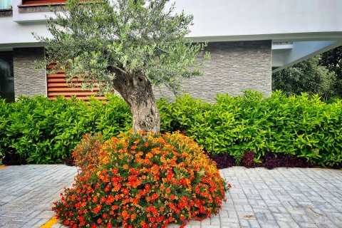 آپارتمان در  Alsancak ، ترکیه 99 متر مربع.  شماره 221225 - 15