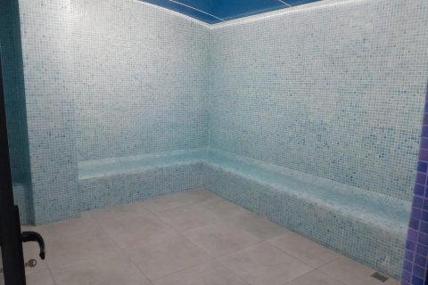 3+1 Lägenhet  i Mahmutlar, Antalya, Turkiet Nr. 226187 - 21