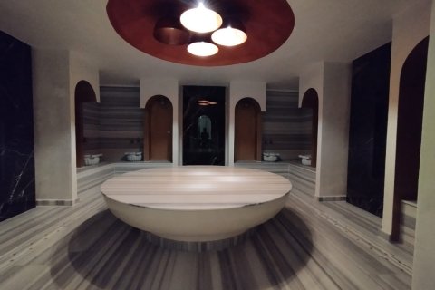 Daire 1+1 Mahmutlar, Antalya, Türkiye №221814 - 17