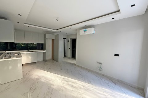 1+1 Wohnung in Alanya, Antalya, Türkei Nr. 216608 - 21