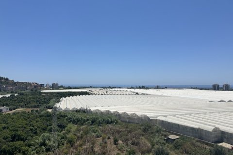 1+1 Wohnung  in Antalya, Türkei Nr. 222623 - 10