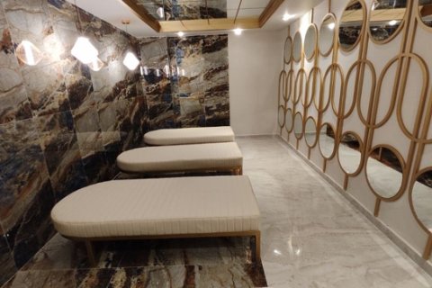 1+1 Wohnung  in Antalya, Türkei Nr. 222619 - 12