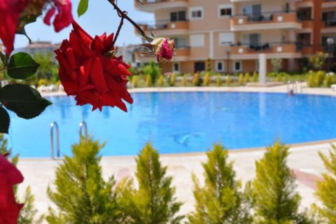 3+1 Wohnung in Oba, Antalya, Türkei Nr. 218156 - 23