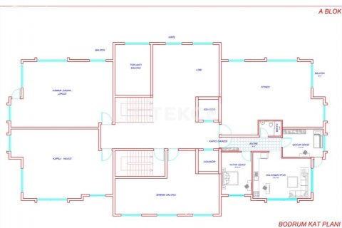 1+1 Wohnung in Alanya, Antalya, Türkei Nr. 44291 - 2