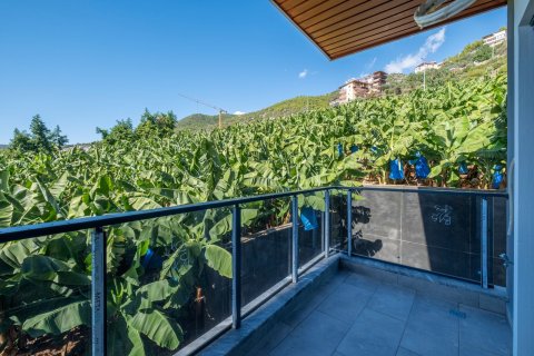 1+1 Leilighet i Alanya, Antalya, Tyrkia Nr. 225176 - 12