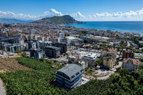 1+1 Leilighet i Alanya, Antalya, Tyrkia Nr. 225176 - 14