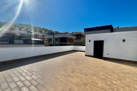 3+1 Villa  in Alanya, Antalya, Türkei Nr. 216547 - 26