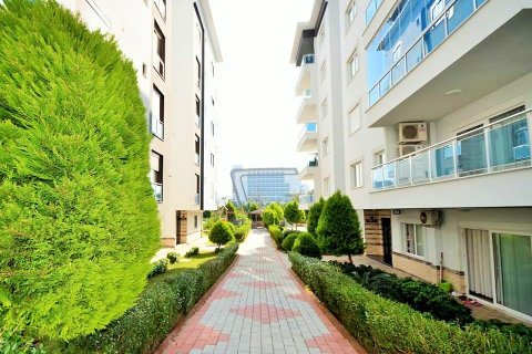 1+1 Leilighet i Alanya, Antalya, Tyrkia Nr. 216548 - 11