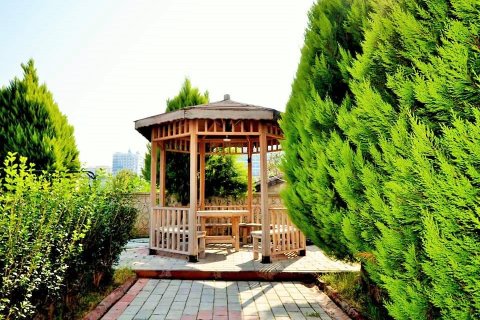 1+1 Leilighet i Alanya, Antalya, Tyrkia Nr. 216548 - 16