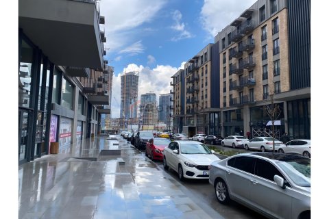 Daire  2+1  Ataşehir, İstanbul, Türkiye №212896 - 23