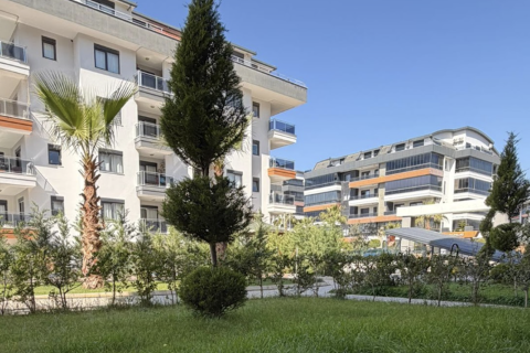 1+1 Wohnung  in Alanya, Antalya, Türkei Nr. 225672 - 9
