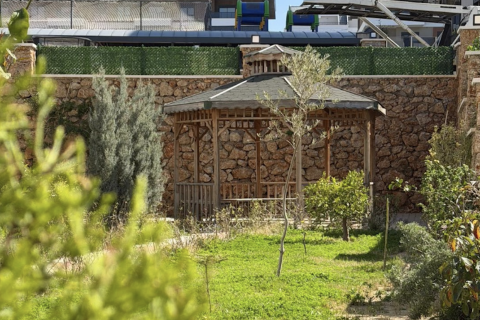 1+1 Wohnung  in Alanya, Antalya, Türkei Nr. 225672 - 7