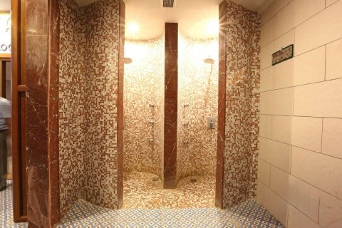 Daire 2+1 Cikcilli, Antalya, Türkiye №218804 - 22
