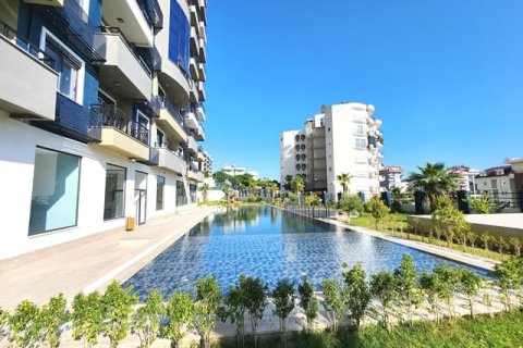 1+1 Wohnung in Avsallar, Antalya, Türkei Nr. 31654 - 4