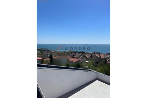 4+1 Villa i Silivri, Istanbul, Tyrkiet Nr. 215194 - 13