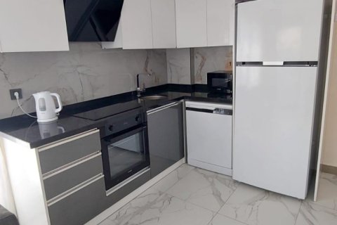 1+1 Wohnung in Konakli, Antalya, Türkei Nr. 218415 - 3