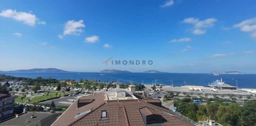 5+1 Lägenhet  i Maltepe, Istanbul, istanbul, Turkiet Nr. 232602