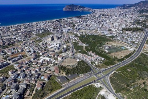 Gewerbeimmobilien  in Oba, Antalya, Türkei Nr. 95078 - 2