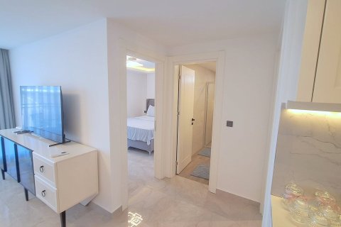 2+0 Wohnung in Alanya, Antalya, Türkei Nr. 238039 - 12