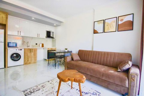 1+1 Apartment  in Alanya, Antalya, Turkey No. 228354