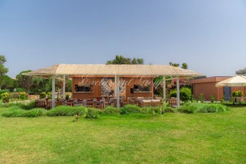 3+1 Lägenhet  i Belek, Antalya, Turkiet Nr. 237395 - 14