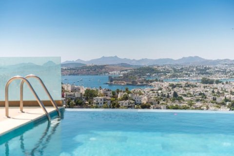 5+1 Villa  in Bodrum, Mugla, Turkey No. 222758