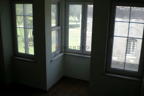 5+1 Villa  i Fatih, Istanbul, Tyrkiet Nr. 237876 - 8