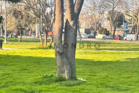 5+1 Villa  i Fatih, Istanbul, Tyrkiet Nr. 237876 - 23