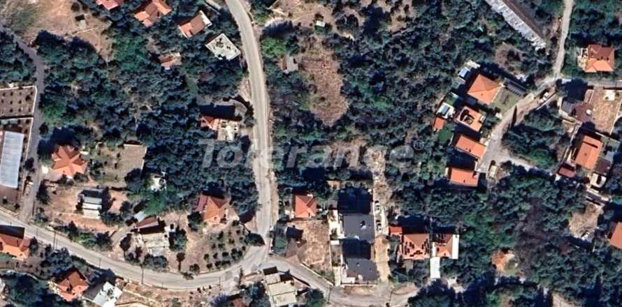 Land in Antalya, Türkei Nr. 219930