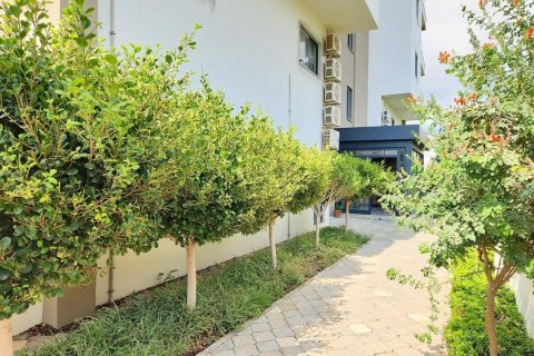 1+1 Leilighet i Alanya, Antalya, Tyrkia Nr. 216534 - 23