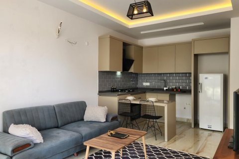 1+1 Leilighet i Alanya, Antalya, Tyrkia Nr. 216534 - 24