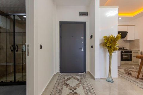 آپارتمان در Alanya ، ترکیه 1 خوابه ، 50 متر مربع. شماره 216530 - 26