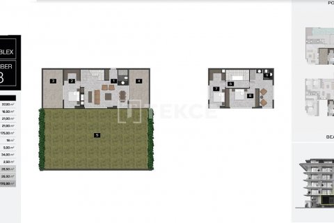 1+1 Wohnung  in Alanya, Antalya, Türkei Nr. 59369 - 2
