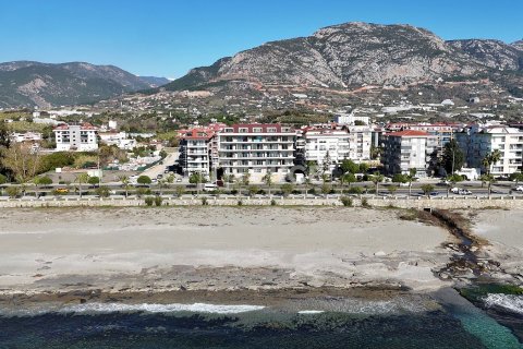 1+1 Wohnung  in Alanya, Antalya, Türkei Nr. 59369 - 10
