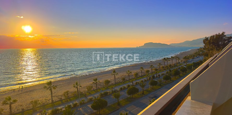 1+1 Wohnung  in Alanya, Antalya, Türkei Nr. 59369