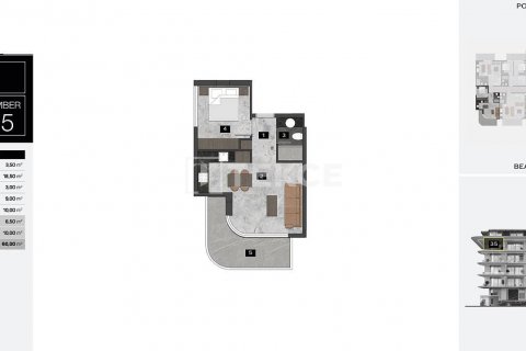 1+1 Wohnung  in Alanya, Antalya, Türkei Nr. 59369 - 4