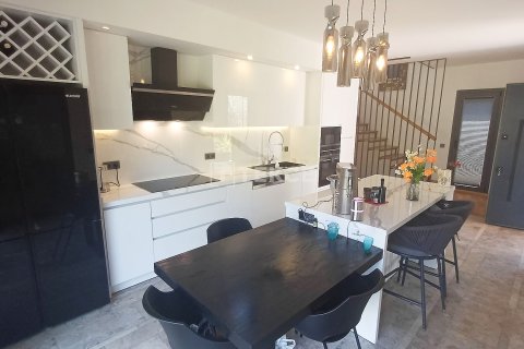 5+1 Villa  i Kas, Antalya, Tyrkiet Nr. 232299 - 20