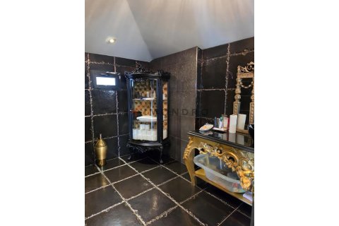 ویلا در Sariyer، Istanbul ، ترکیه 3 خوابه ، 350 متر مربع. شماره 225255 - 17