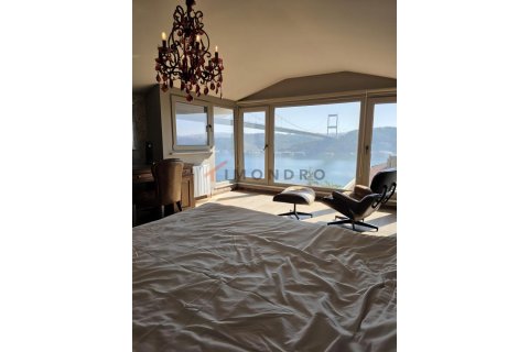ویلا در Sariyer، Istanbul ، ترکیه 3 خوابه ، 350 متر مربع. شماره 225255 - 23