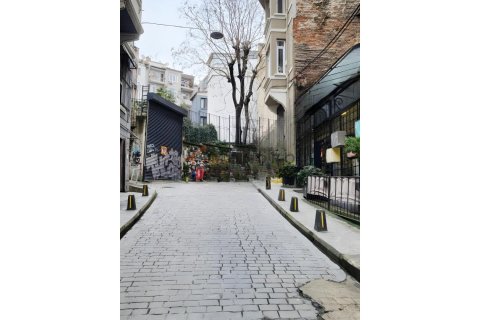 آپارتمان در Beyoglu، Istanbul ، ترکیه 2 خوابه ، 70 متر مربع. شماره 225254 - 15