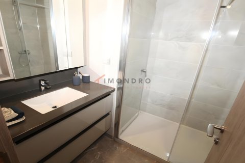 2+1 Leilighet i Esenyurt, Istanbul, Tyrkia Nr. 225393 - 19