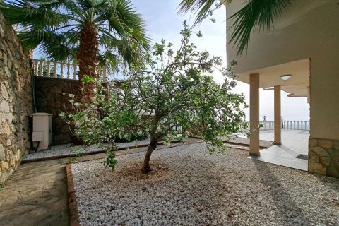 Villa 3+1 Alanya, Antalya, Türkiye №216896 - 6