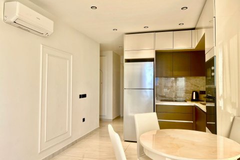 1+0 Wohnung in Mahmutlar, Antalya, Türkei Nr. 225143 - 5