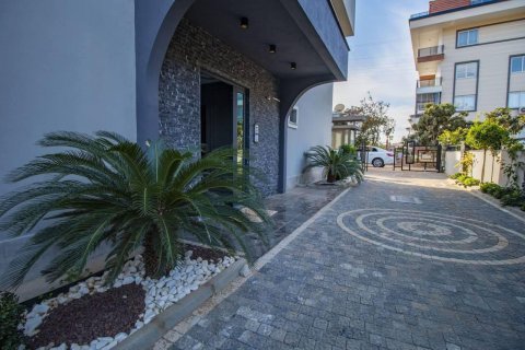 1+1 Wohnung  in Alanya, Antalya, Türkei Nr. 216984 - 15