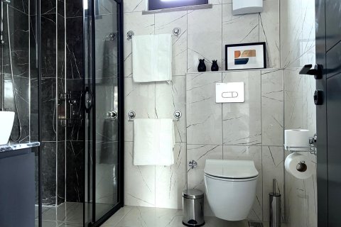 1+1 Wohnung  in Alanya, Antalya, Türkei Nr. 216984 - 10