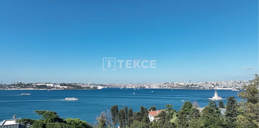 1+1 Apartment in Istanbul, Turkey No. 226575